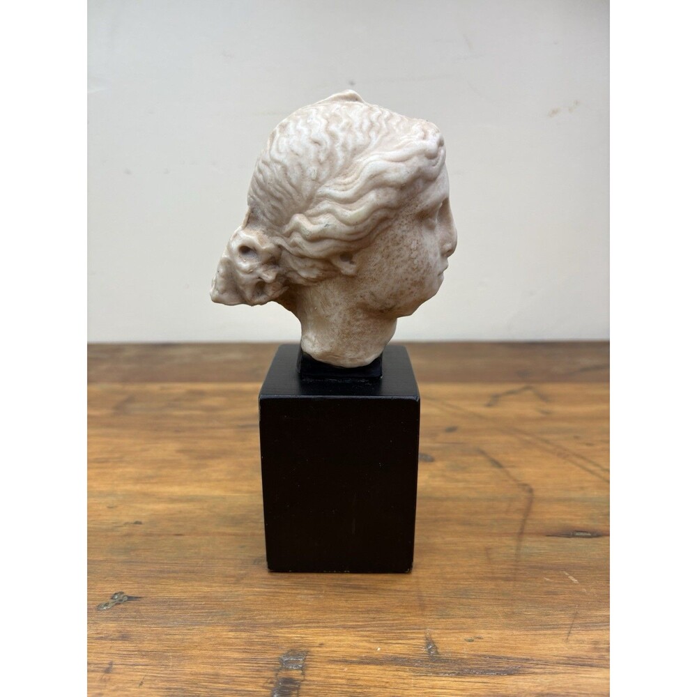 Vintage Freud Museum London Bust Ciba Geigy Classical Greek Goddess Statue Head